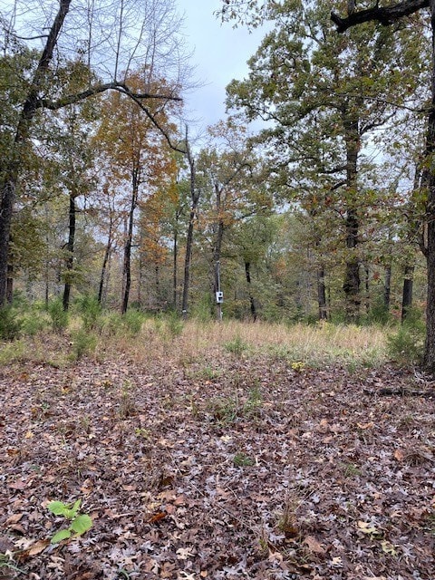 0 Marion County 8080, Flippin, AR 72634 - photo 5