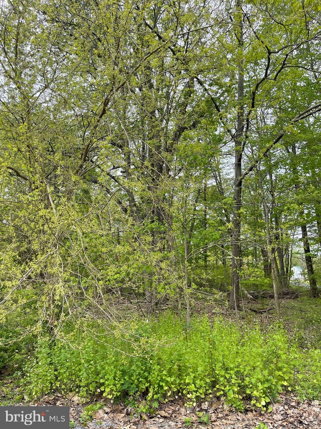 431 Mohave Dr, Auburn, PA 17922 - photo 3