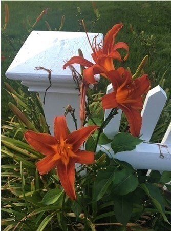 29 Gunwale Way, Yarmouth, MA 02675 - photo 5