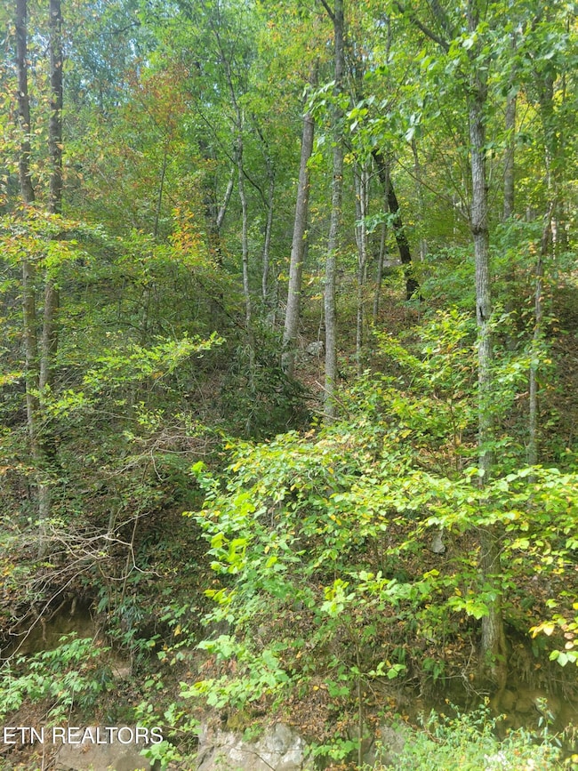 0 Alpine Dr unit 1283013, Sevierville, TN 37876 - photo 2