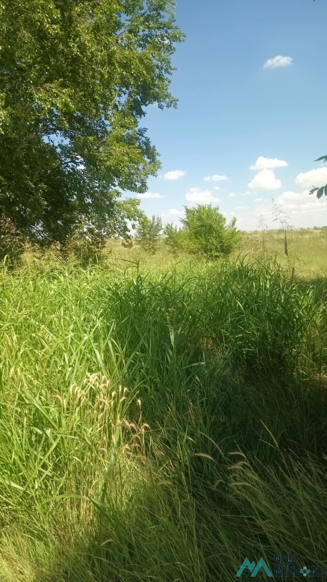 000 Marion Richards Rd, Roswell, NM 88201 - photo 2