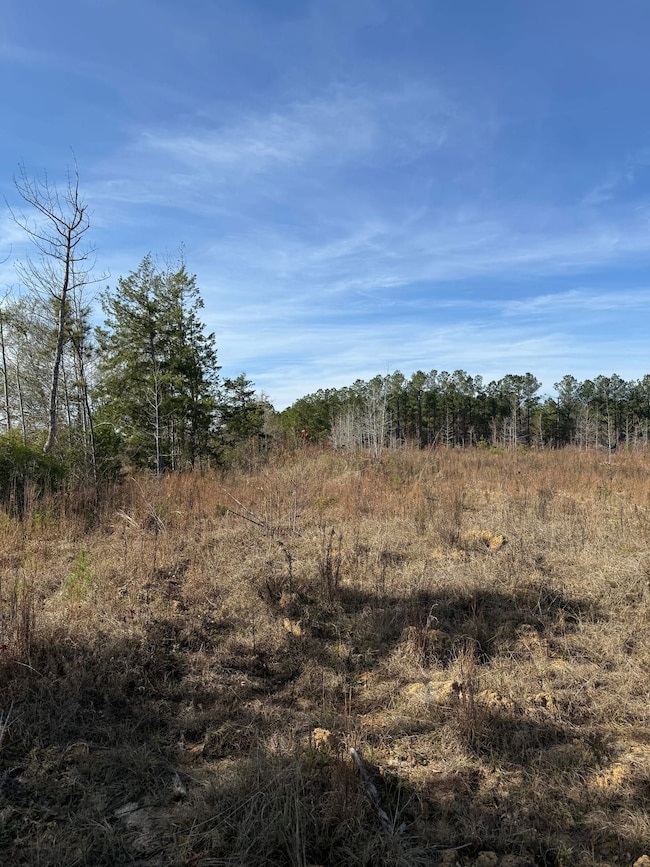 Roebuck Dr, Preston, MS 39354 - photo 3