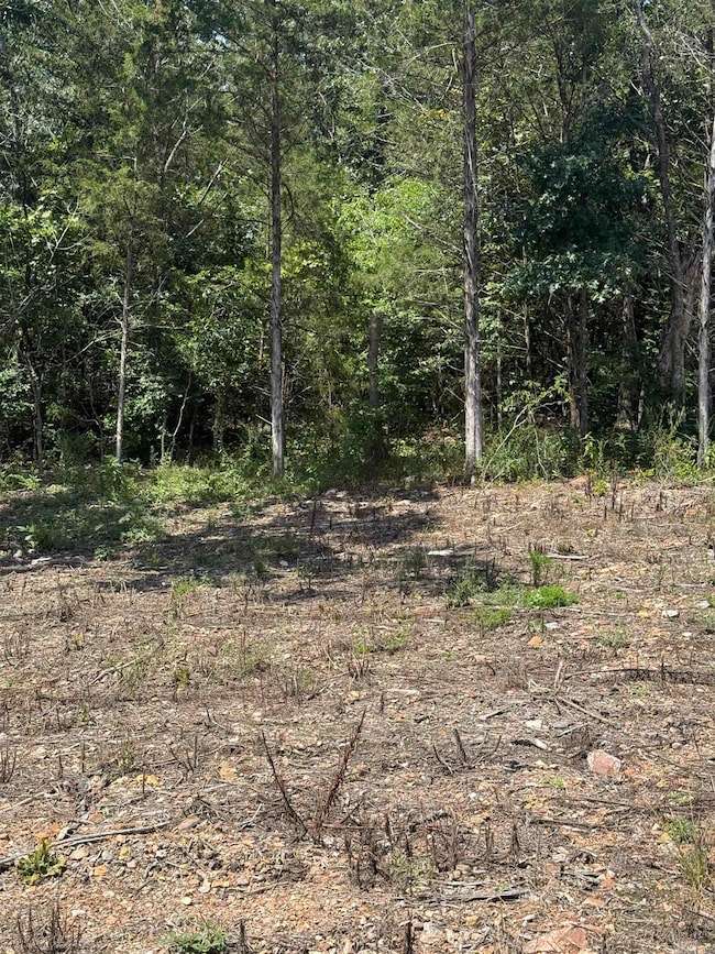 12952 Highway 5, Norfork, AR 72658 - photo 3