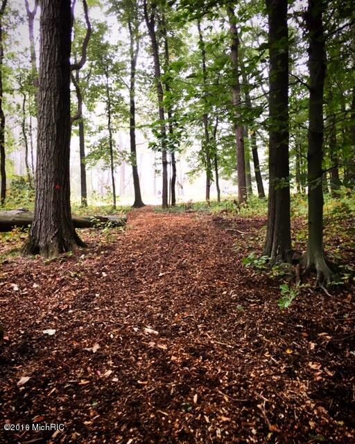 7834 W Youngren Rd, Chikaming Township, MI - photo 3