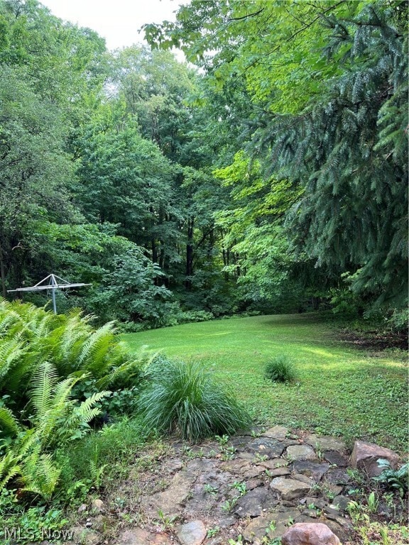 55 E Pine St, Jefferson, OH 44047 - photo 2