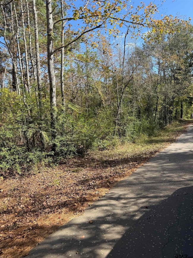 TBA #2 Acr 1204, Elkhart, TX 75839 - photo 4