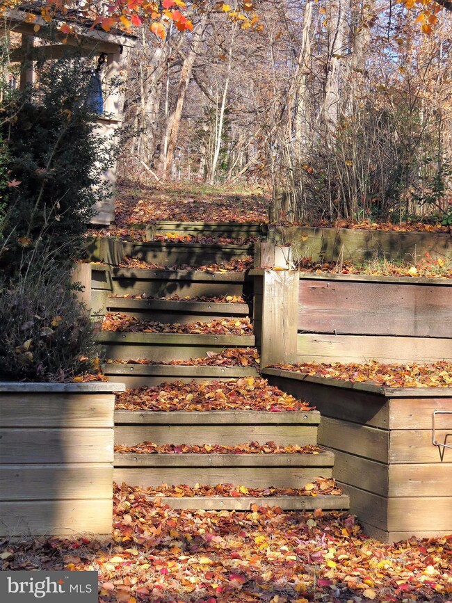 10520 Ward Rd, Dunkirk, MD 20754 - photo 6