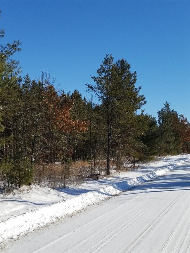 ON Cypress Ave unit Meteor 8313-1, Friendship, WI 53934 - photo 4