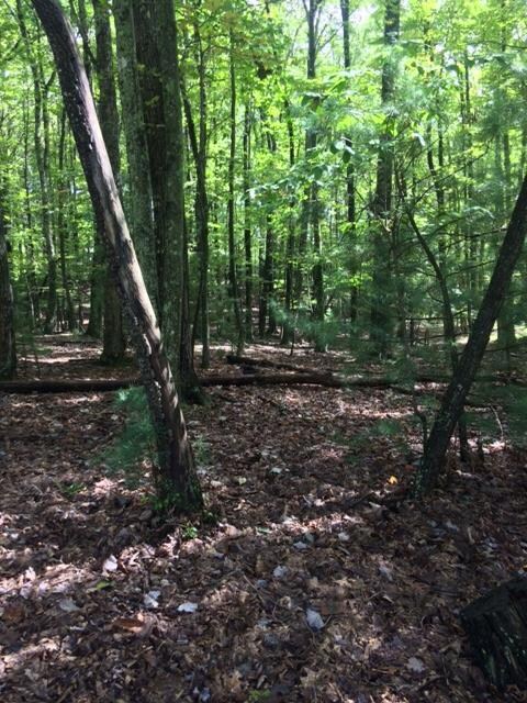 114 Greenbrier Rd unit 14, Daniels, WV 25832 - photo 5