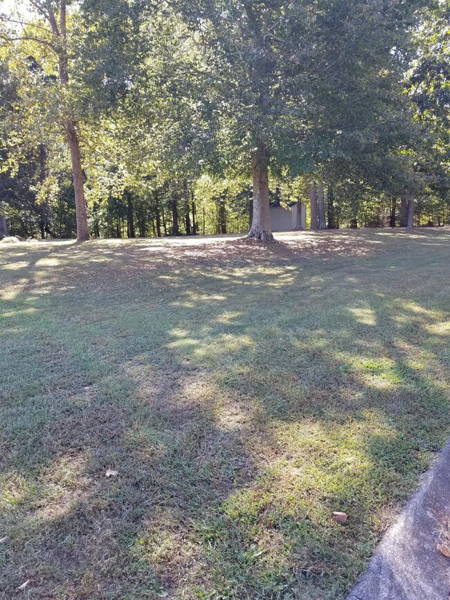 2017 Shawnee Ln, Greenbrier, TN 37073 - photo 3