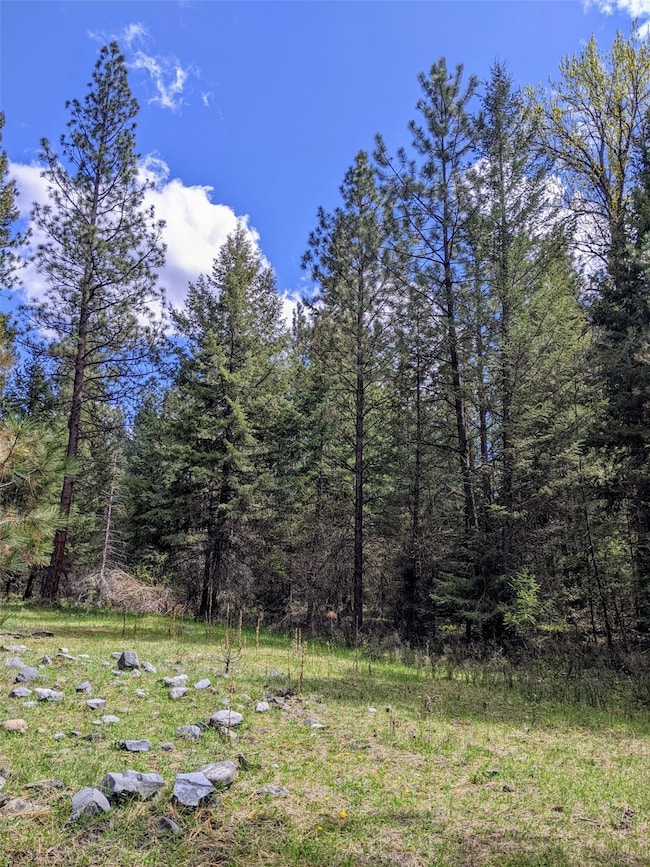 NHN Little Deer Dr, Plains, MT 59859 - photo 4