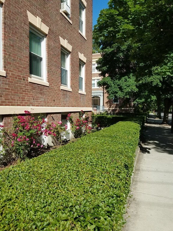 59 Manchester Rd unit B, Brookline, MA 02446 - photo 2