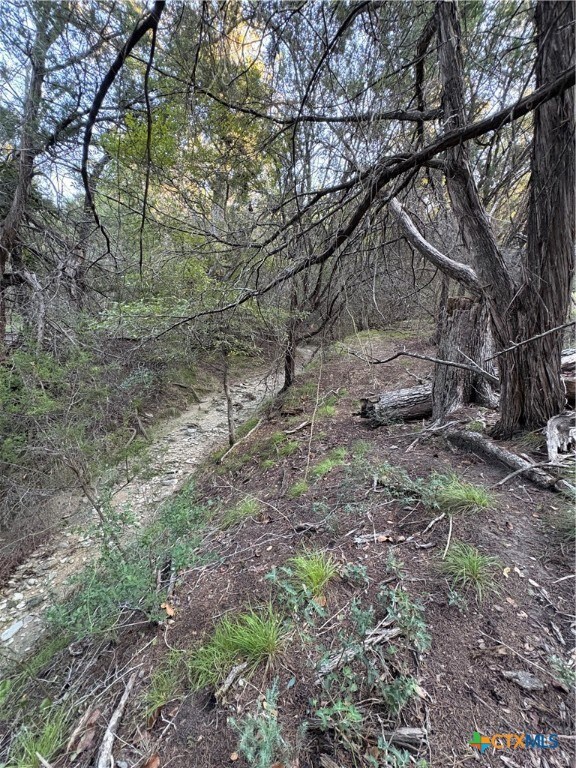 0 County Road 2773, Lometa, TX 76853 - photo 6