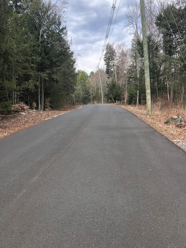 0 Winsted Norfolk Rd unit 24089254, Colebrook, CT 06021 - photo 2