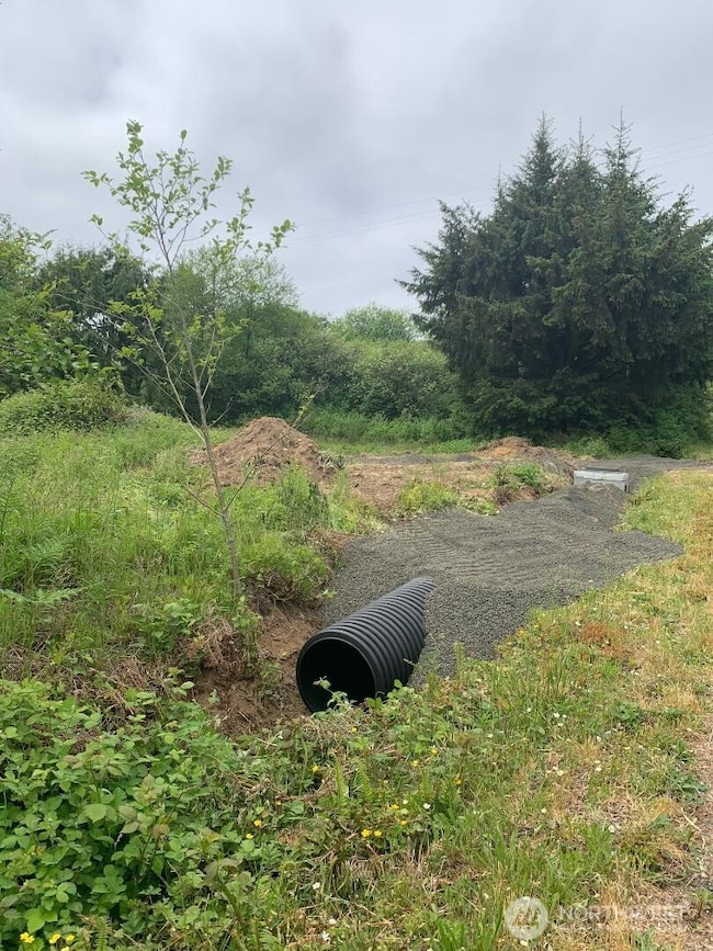 19 N 3rd St, Pacific Beach, WA 98571 - photo 3