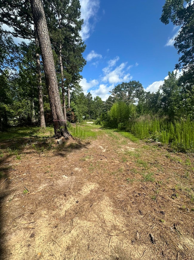 170 Pressley Ln, Hephzibah, GA 30815 - photo 3