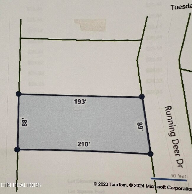 0 Running Deer unit RTC2989424, Crab Orchard, TN 37723 - photo 2