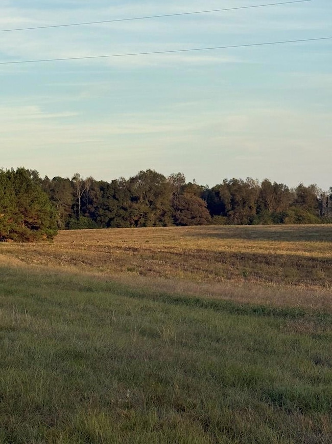 0 Hwy 231 unit 28205, Brundidge, AL 36010 - photo 2