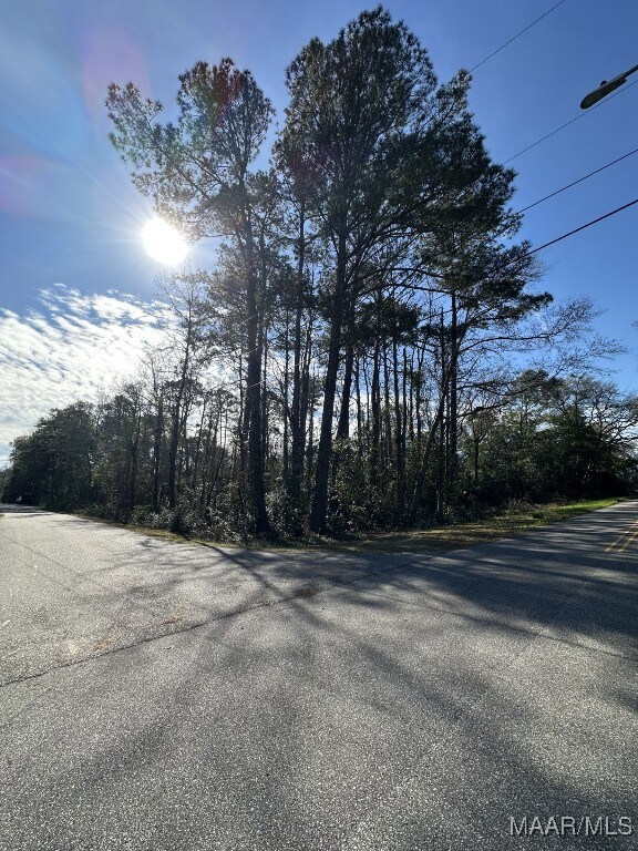 29 Ann Dr, Eufaula, AL 36027 - photo 5