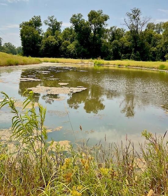 0 Navy's unit LOT 26 170388, Boyce, LA 71409 - photo 7