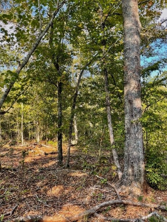 0 Highway 36 E unit 25704971, Jackson, GA 30233 - photo 6