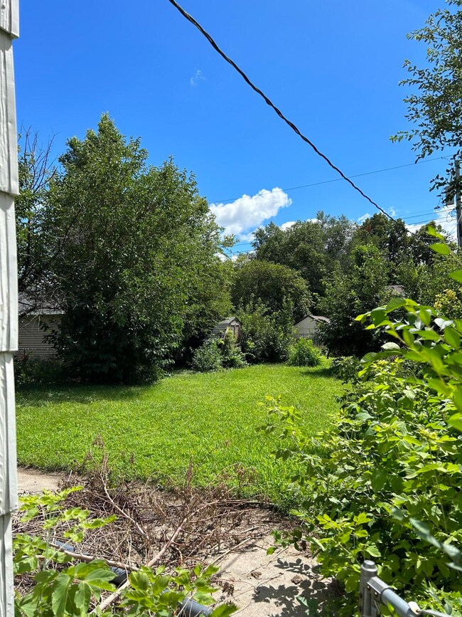 back yard
