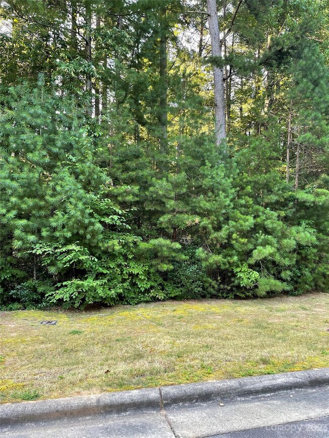 V48&49 Camptown Rd unit V48&49, Brevard, NC 28712 - photo 5