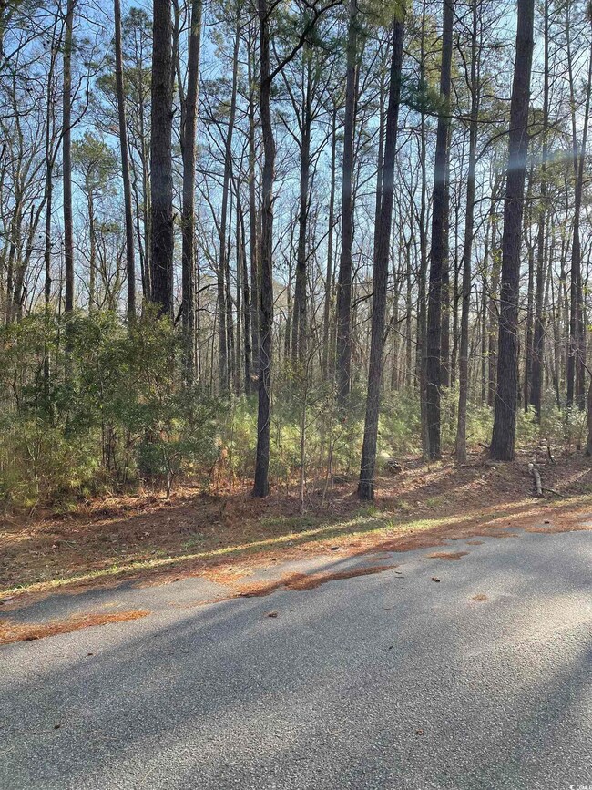 0 Maplewood Cir, Conway, SC 29526 - photo 3