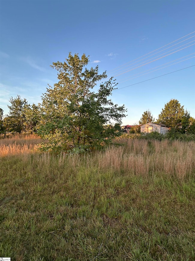 7631 Highway 11 Hwy, Campobello, SC 29322 - photo 4