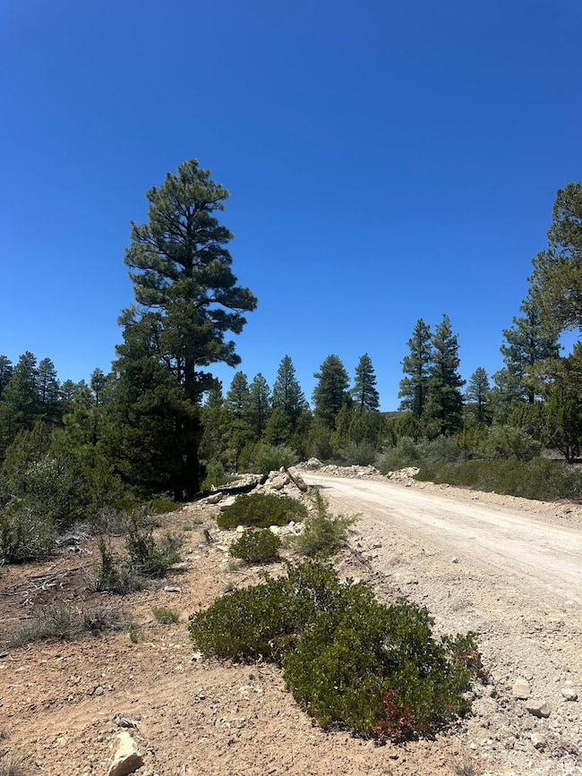 View of dirt / gravel road