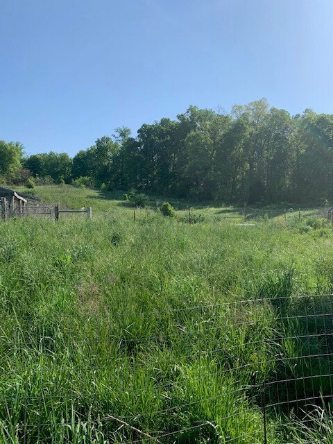 447 Tampico Rd, Rutledge, TN 37861 - photo 6