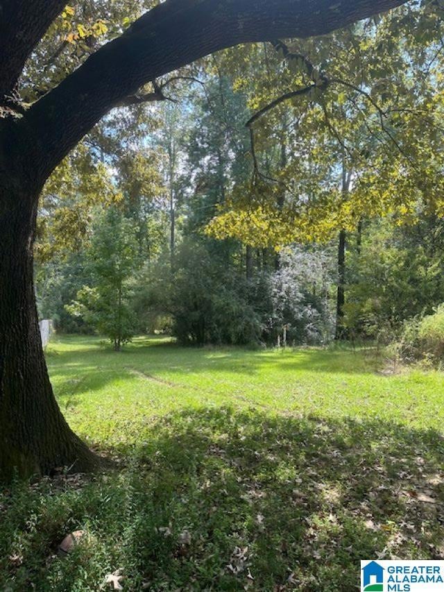 2227 Harris Wright Dr, Birmingham, AL 35242 - photo 2