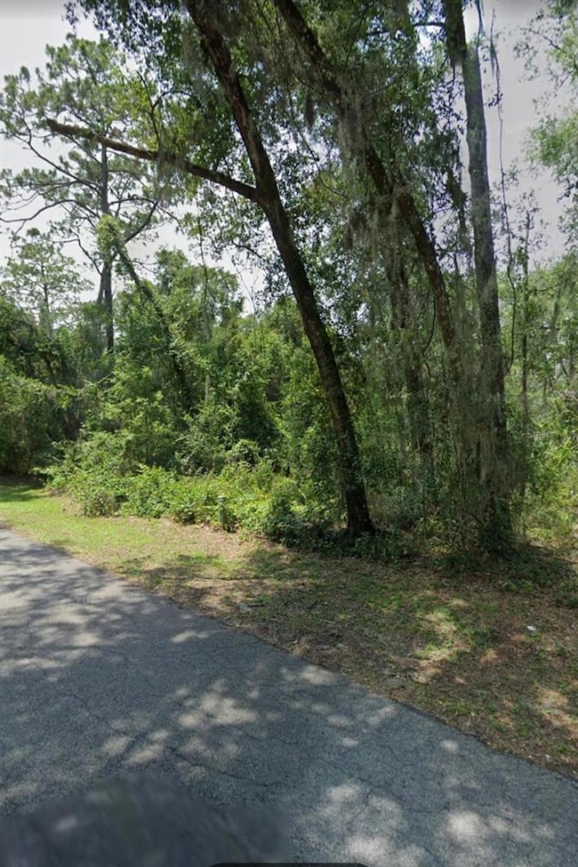 5979 E E Seneca St, Inverness, FL 34452 - photo 2