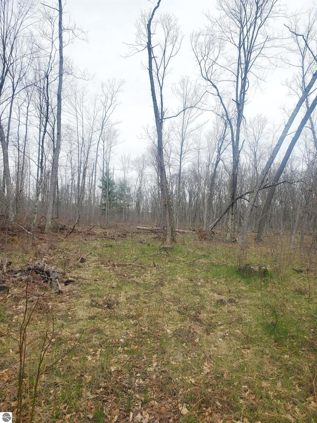 9577 N Woodbridge Dr, Bitely, MI 49309 - photo 2