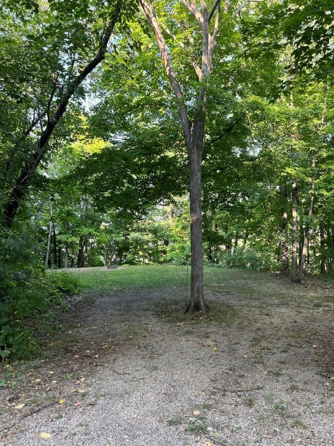 XXX Maple Island Dr SE, Hudson Township, MN 56334 - photo 5