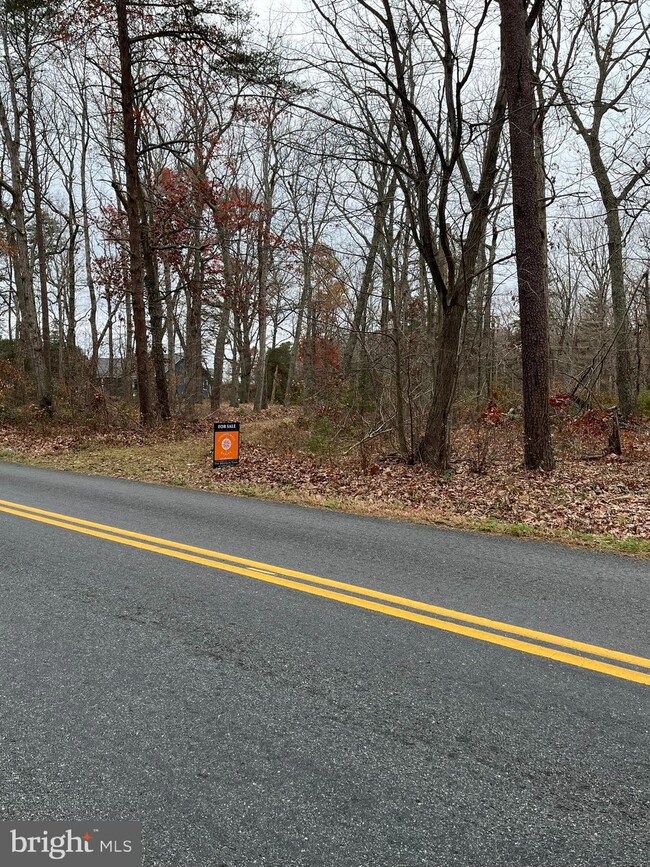 31250 Zoar Rd, Locust Grove, VA 22508 - photo 6