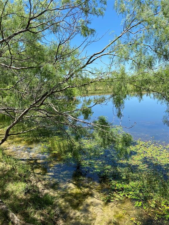 4801 Fm 1181, Ennis, TX 75119 - photo 4