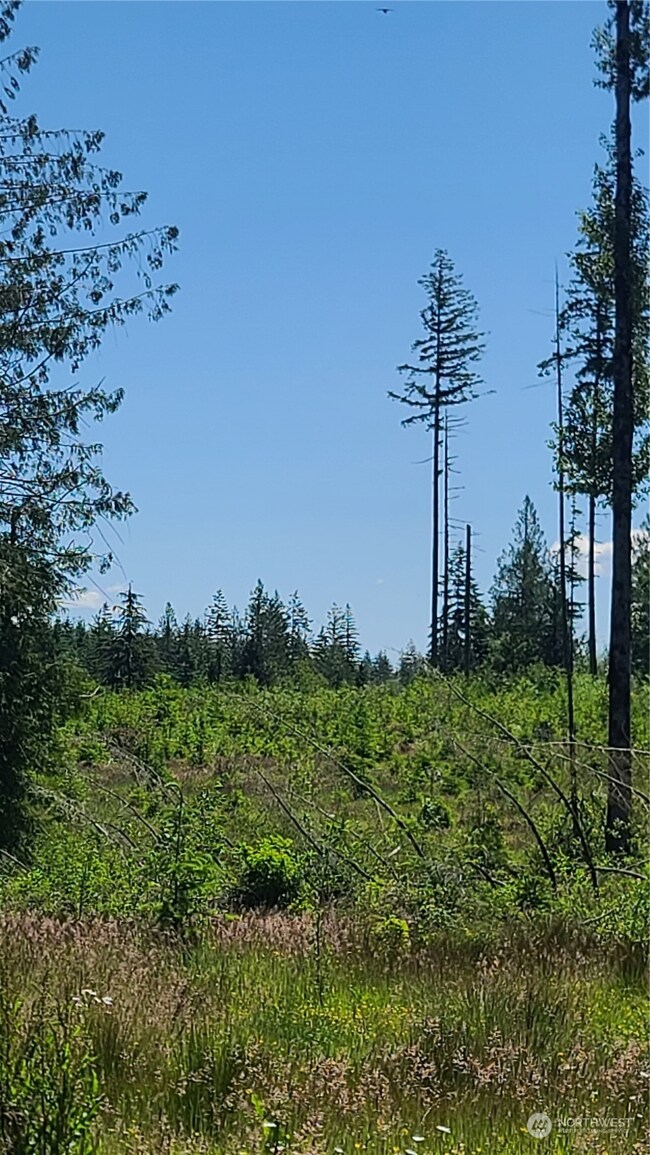 0 Logan Hill Rd unit NWM2254517, Chehalis, WA 98532 - photo 3