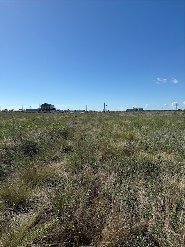 318 Merganser St, Sargent, TX 77414 - photo 4