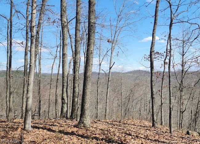 0 Progress Ridge Rd Unit 5023727, Walker, WV 26180 | MLS# 5023727 ...