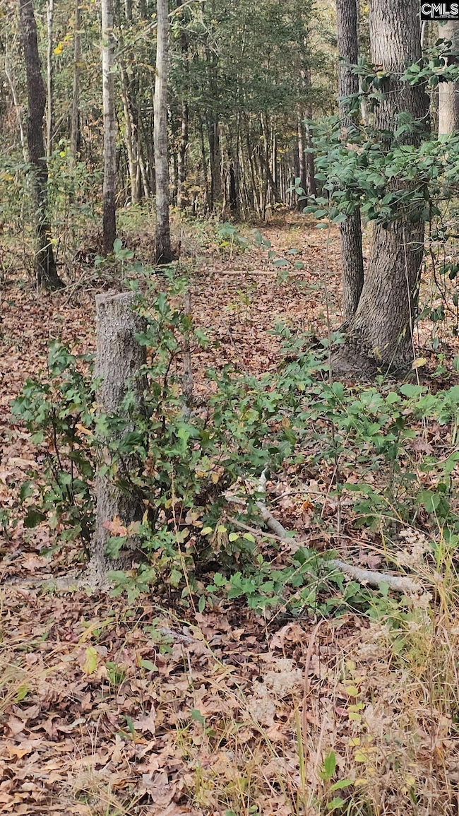 4079 Jefferson Davis Hwy, Bethune, SC 29009 - photo 3