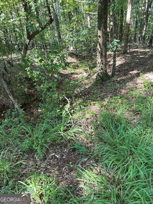 0 Fears Rd unit 10647993, Madison, GA 30650 - photo 6