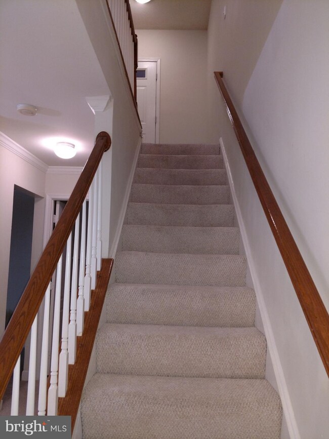 3824 Chesterwood Dr, Silver Spring, MD 20906 - photo 3