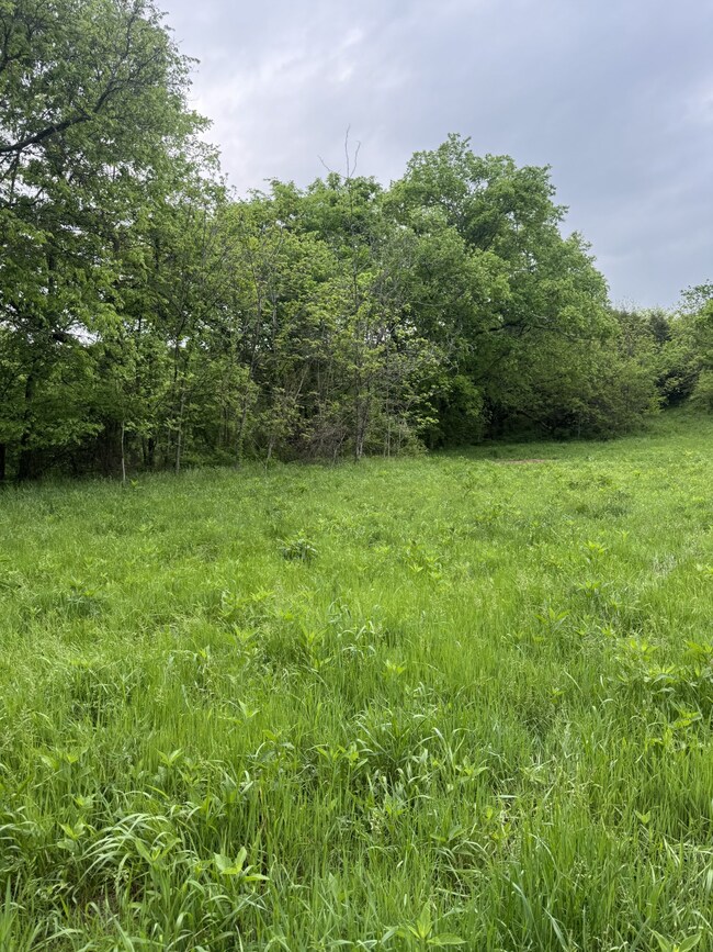 0 Crews Hollow Rd unit RTC2808625, Manchester, TN 37355 - photo 7