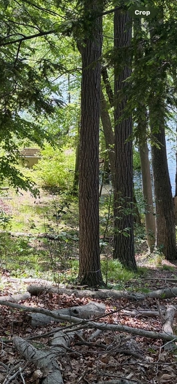 123 Dudley Rd, Wayland, MA 01778 - photo 2