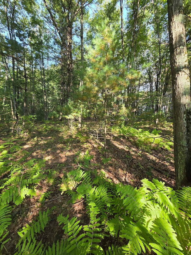 0 Hale Rd unit 50315282, Peshtigo, WI 54157 - photo 5