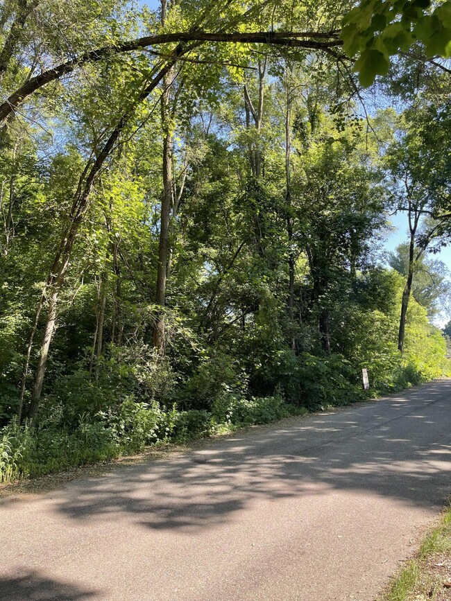 0 Hanover St St, Hubbardston, MI 48845 - photo 3