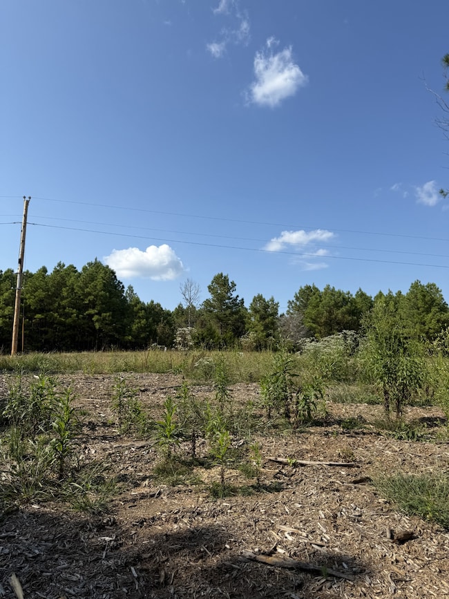 3415 Waynesboro Hwy, Hohenwald, TN 38462 - photo 7