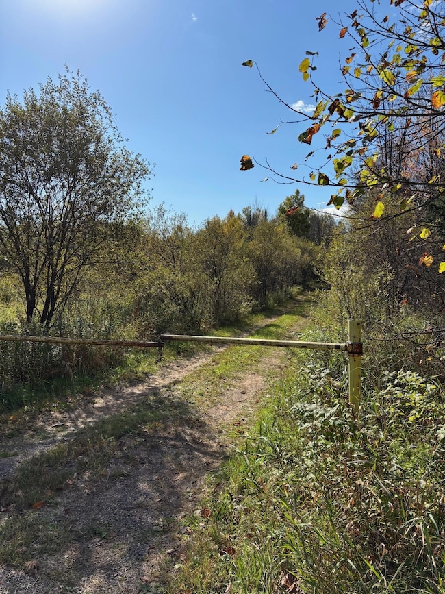 OFF Peterson Rd, Antigo, WI 54409 - photo 2