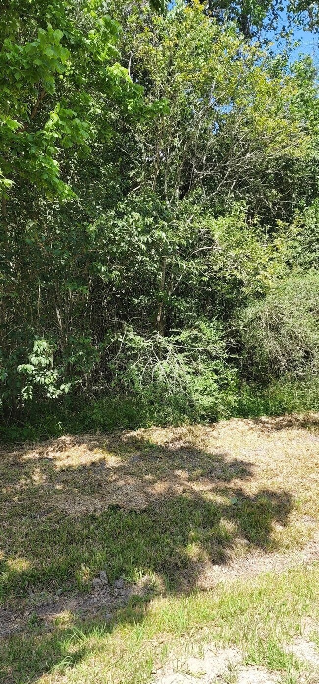 0 Helena unit 89734526, Brookside, TX 77581 - photo 2